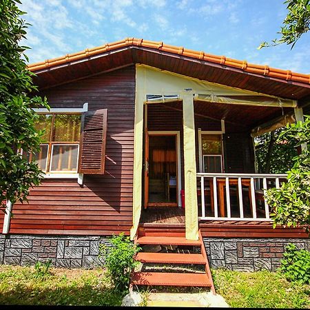 Three Islands Bungalow Çıralı Buitenkant foto