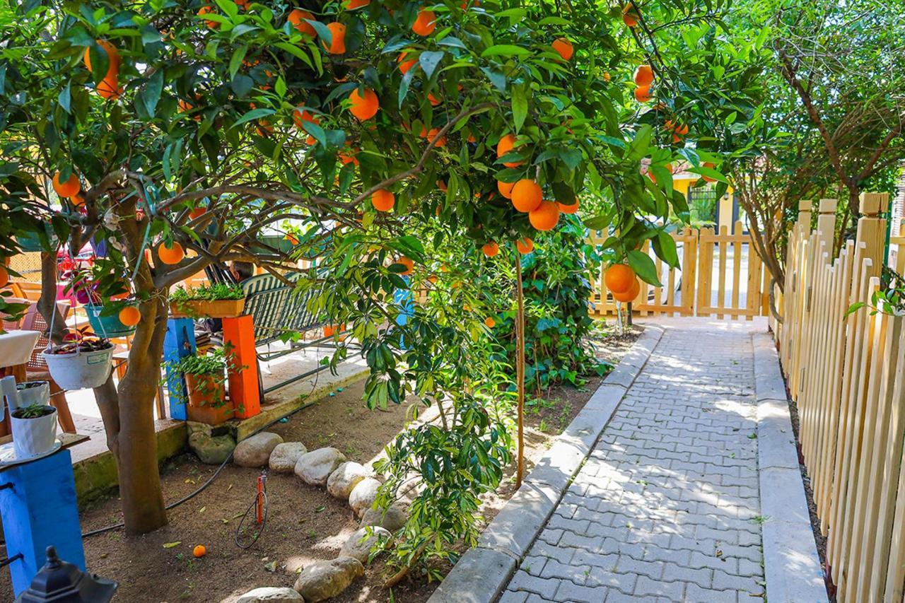 Three Islands Bungalow Çıralı Buitenkant foto