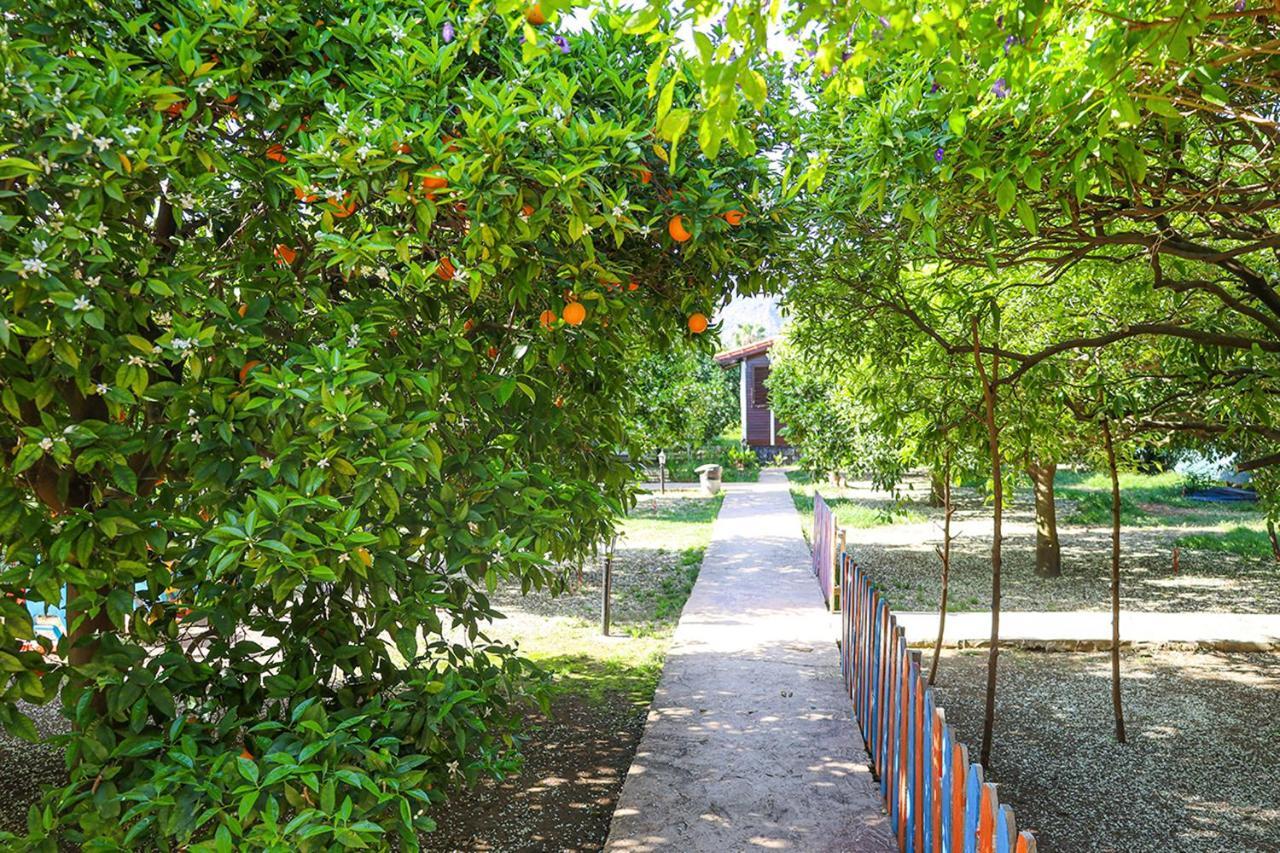 Three Islands Bungalow Çıralı Buitenkant foto