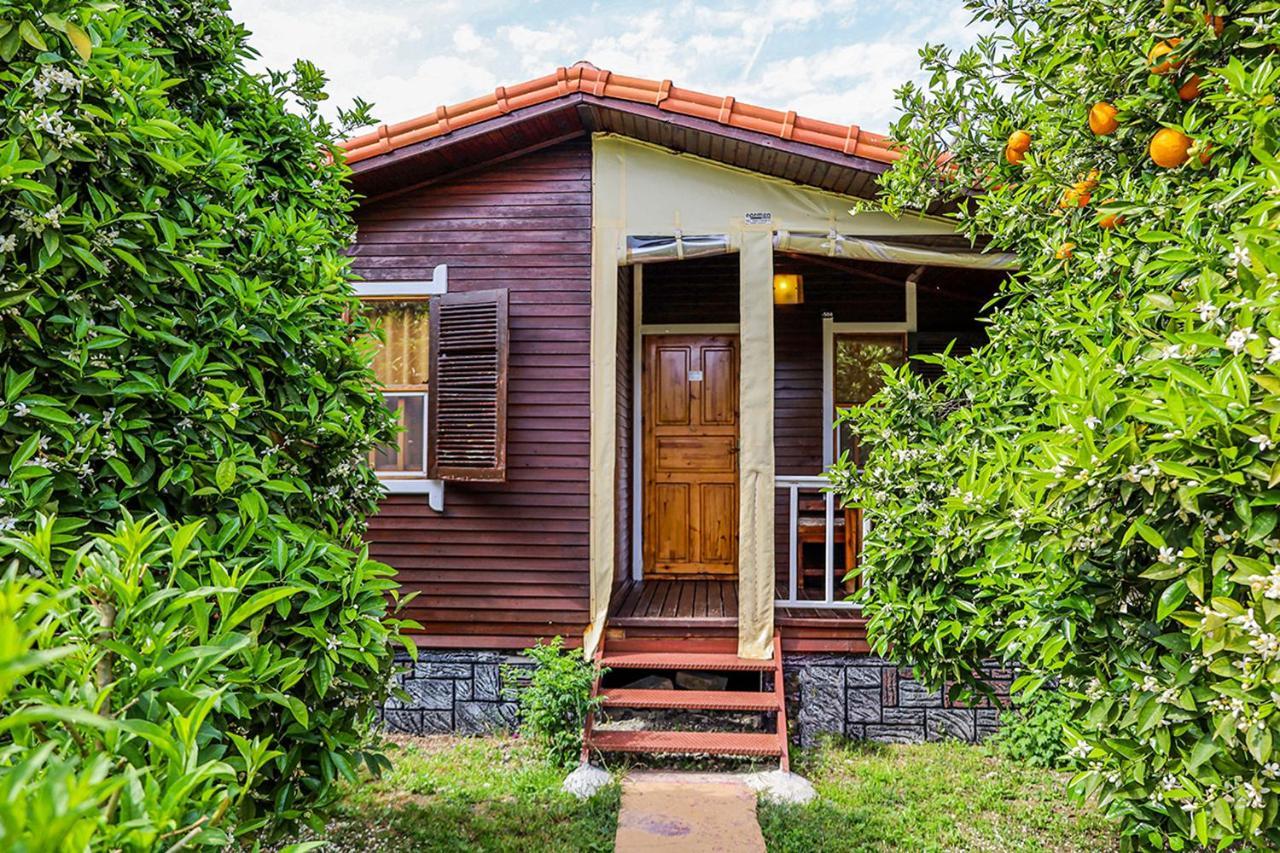 Three Islands Bungalow Çıralı Buitenkant foto