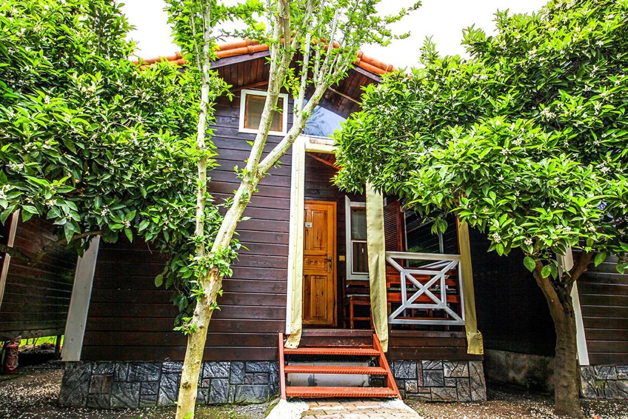 Three Islands Bungalow Çıralı Buitenkant foto
