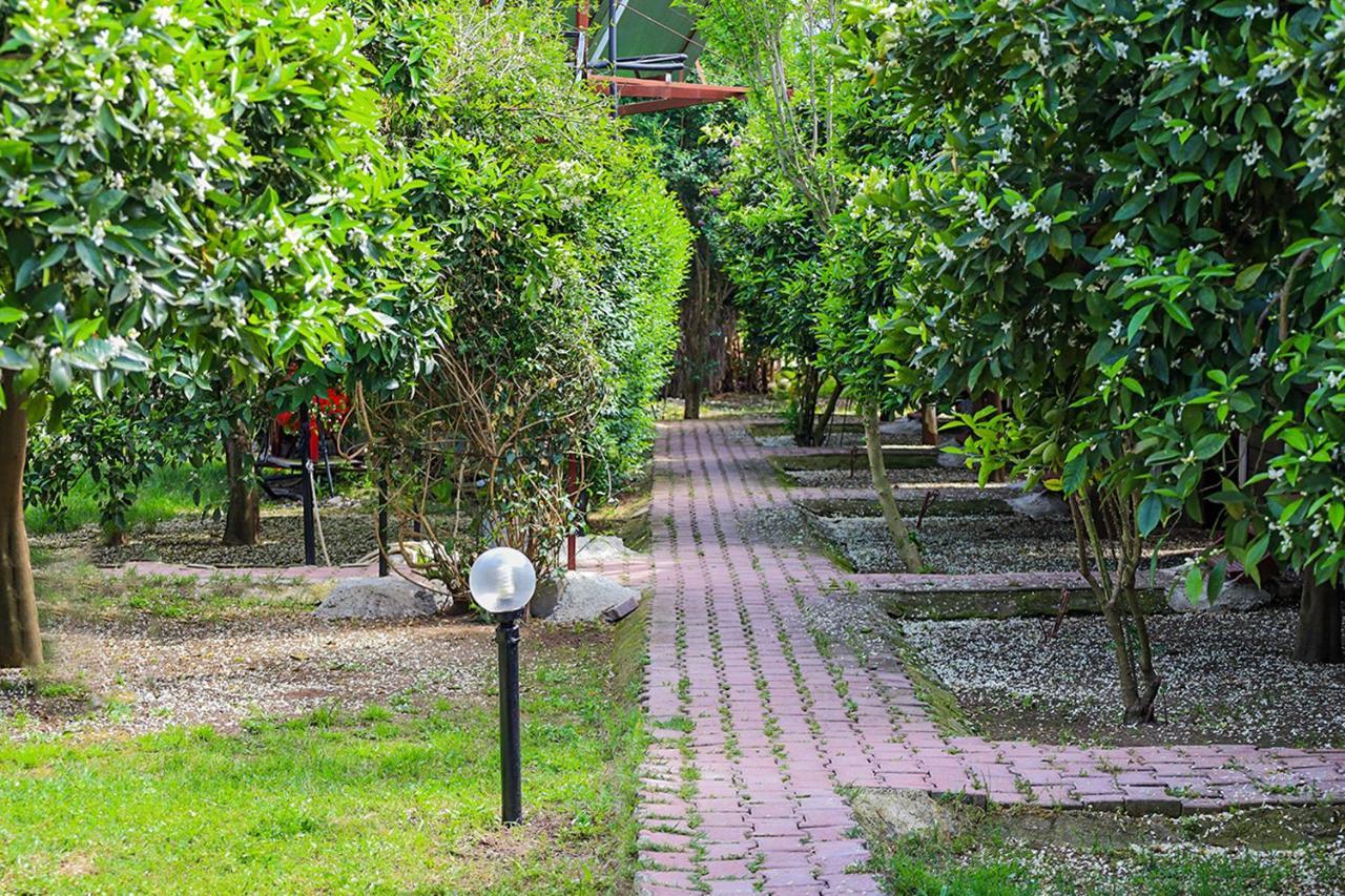 Three Islands Bungalow Çıralı Buitenkant foto